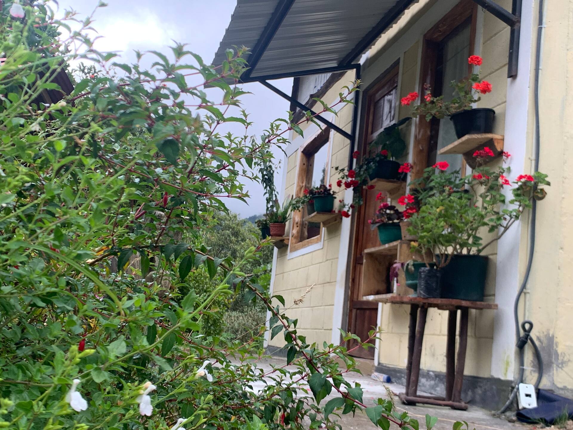 Flores en la fachada de la cabaña