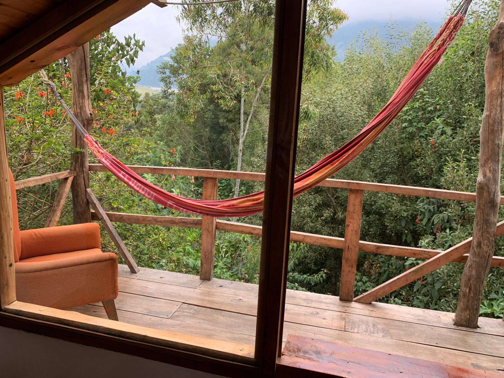 Hamaca en la terraza sobre el bosque